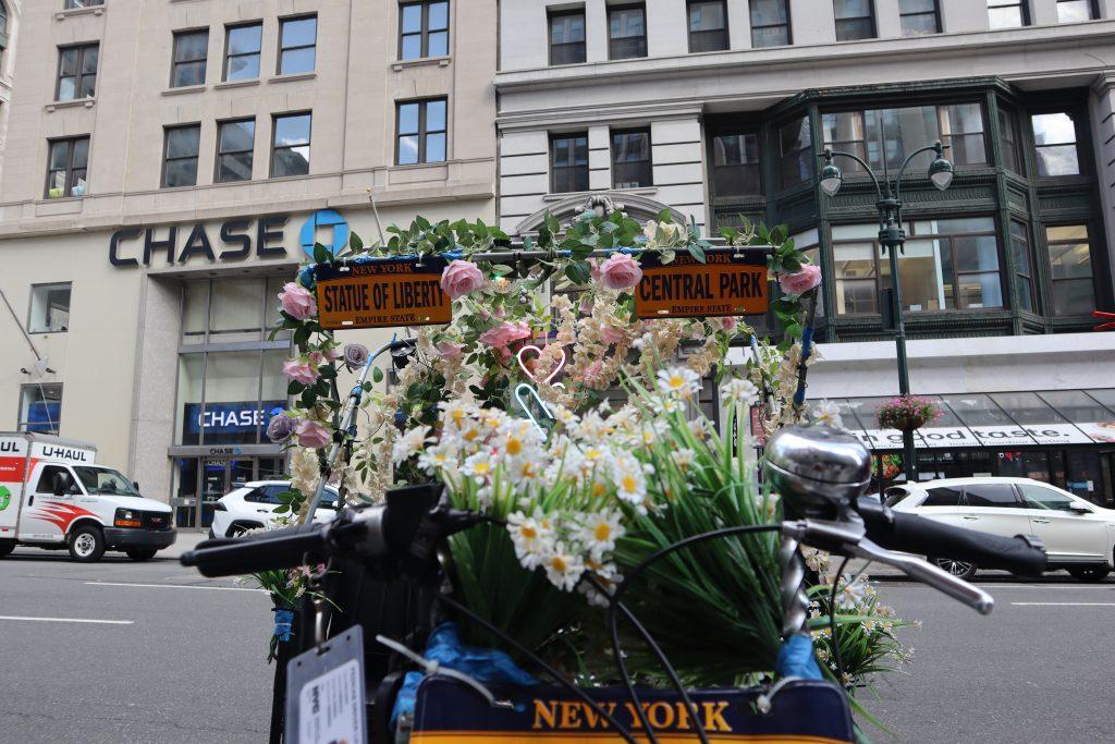 Step into the world of enchanting journeys and unforgettable memories with a private pedicab tour in New York City.